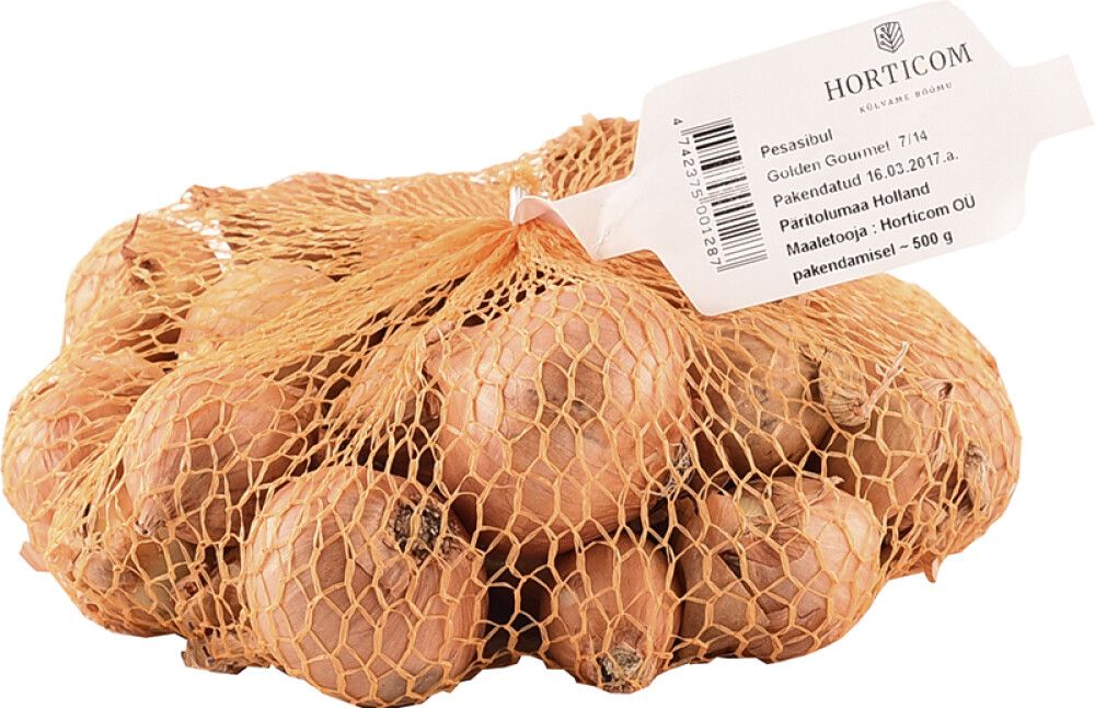 Shalottsibul Golden Gourmet