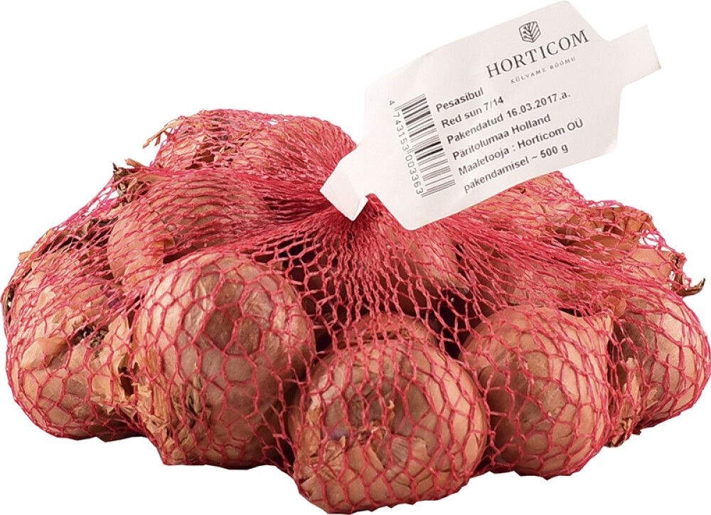 Shalottsibul Red Sun 500 g