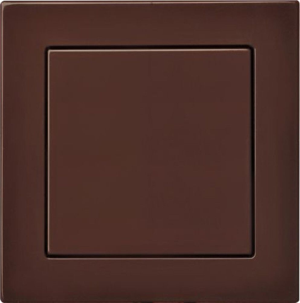 Süvistatud lüliti Epsilon 1-os raamita pruun