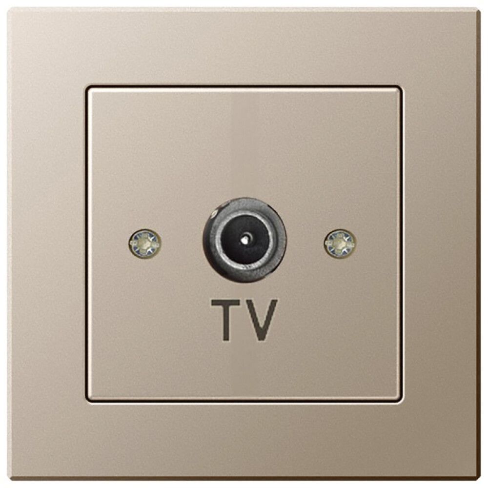 Antennipesa lõpp Epsilon raamita šampanja