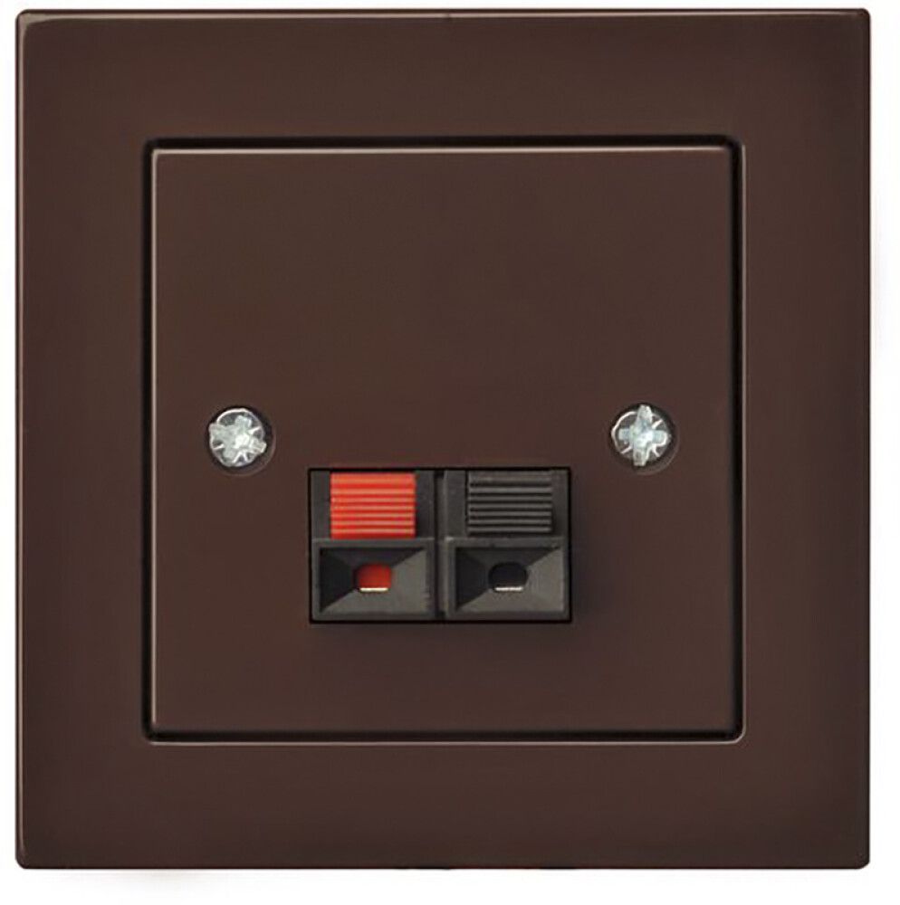 Kõlaripesa Epsilon raamita pruun