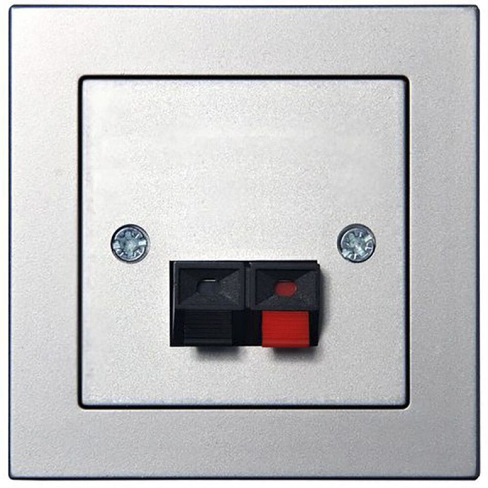 Kõlaripesa Epsilon raamita metall