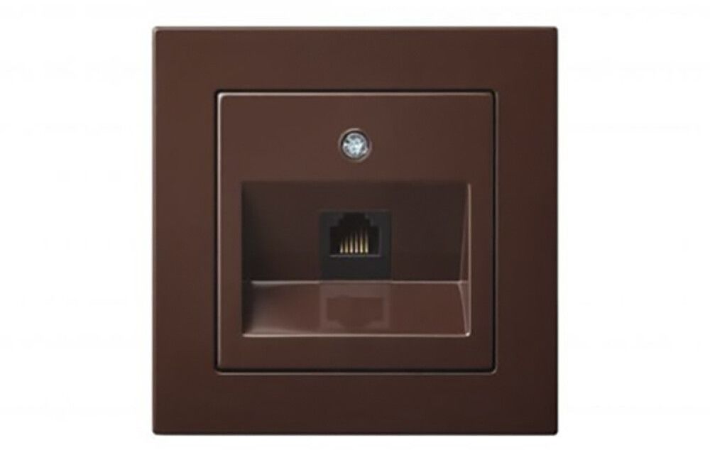 Arvutipesa Epsilon raamita, pruun