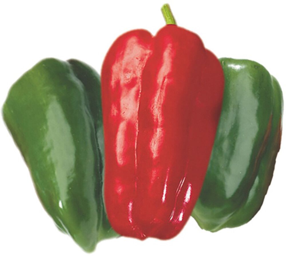 Paprika Lamuyo Ø 9 cm