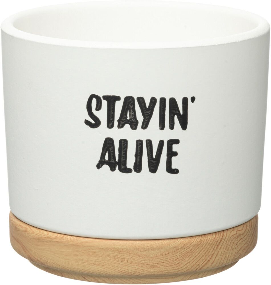 Ümbrispott Quotes alustaldrikuga 13,5 cm valik