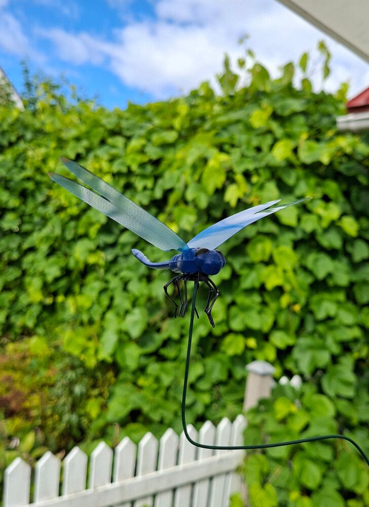 Väikepilt 3