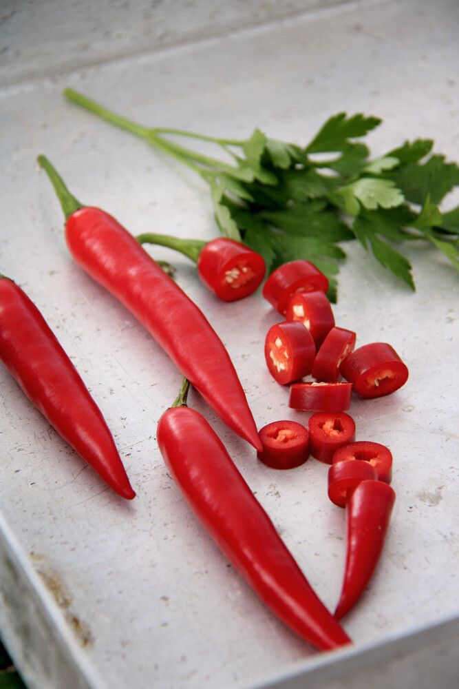 Tšillipipar Nelson Garden Damián