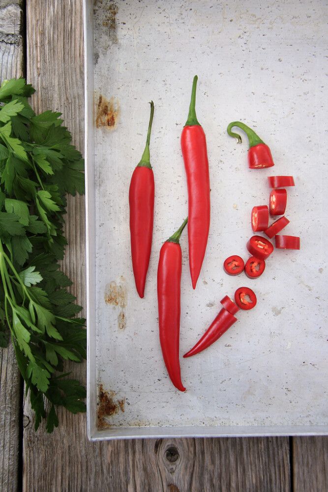 Tšillipipar Nelson Garden Damián