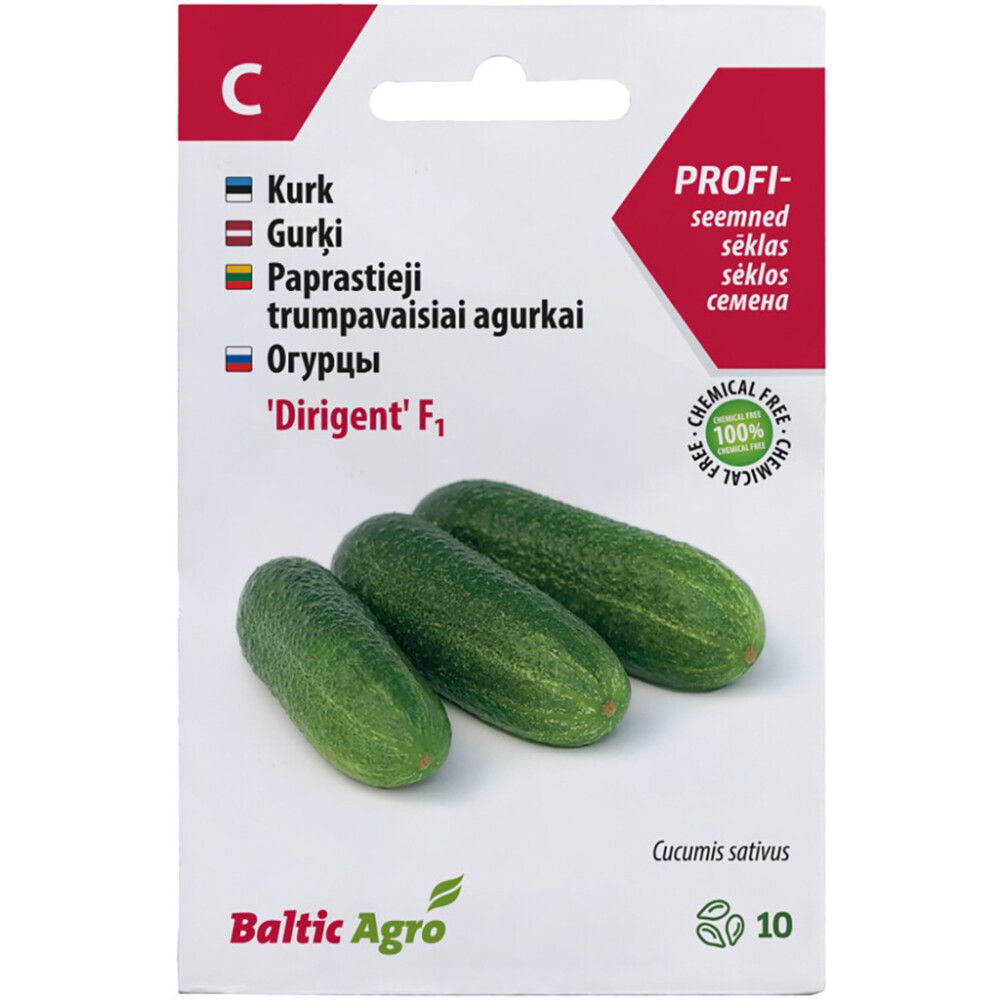 KURK DIRIGENT F1, 10S CUCUMIS SATIVUS