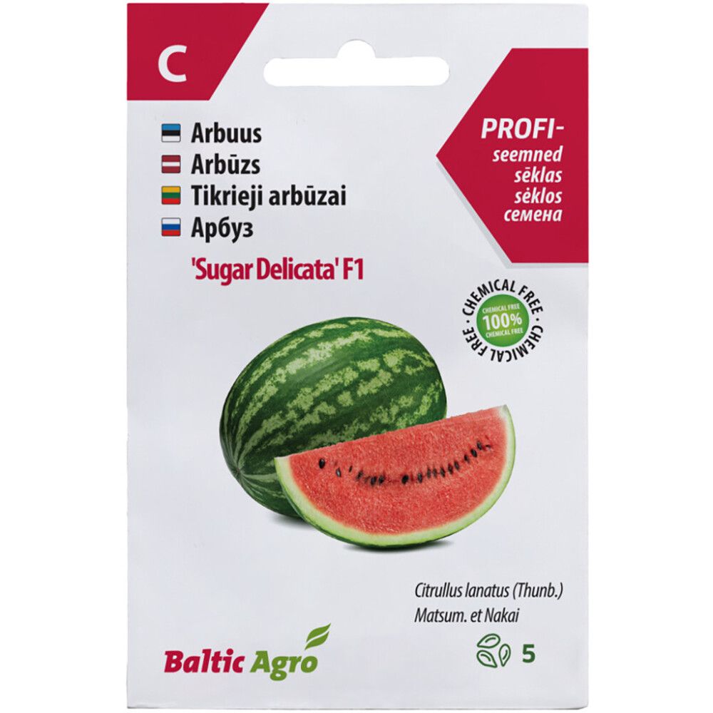 ARBUUS SUGAR DELICATA F1, 5S CITRULLUS L
