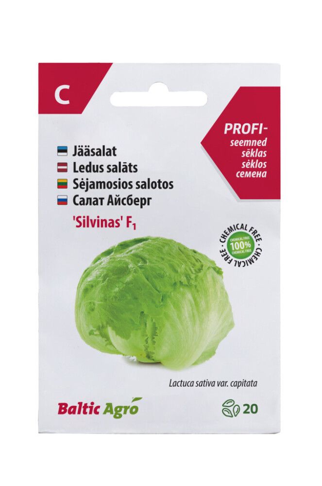 Jääsalat Silvinas F1