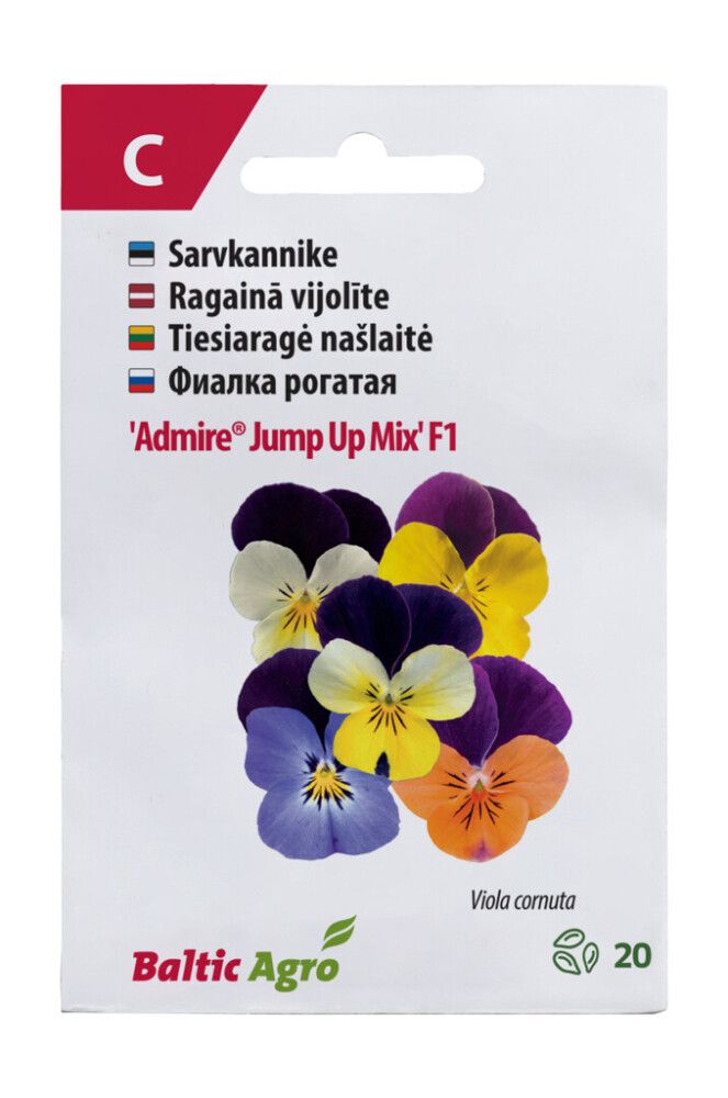 Sarvkannike Admire Jump Up