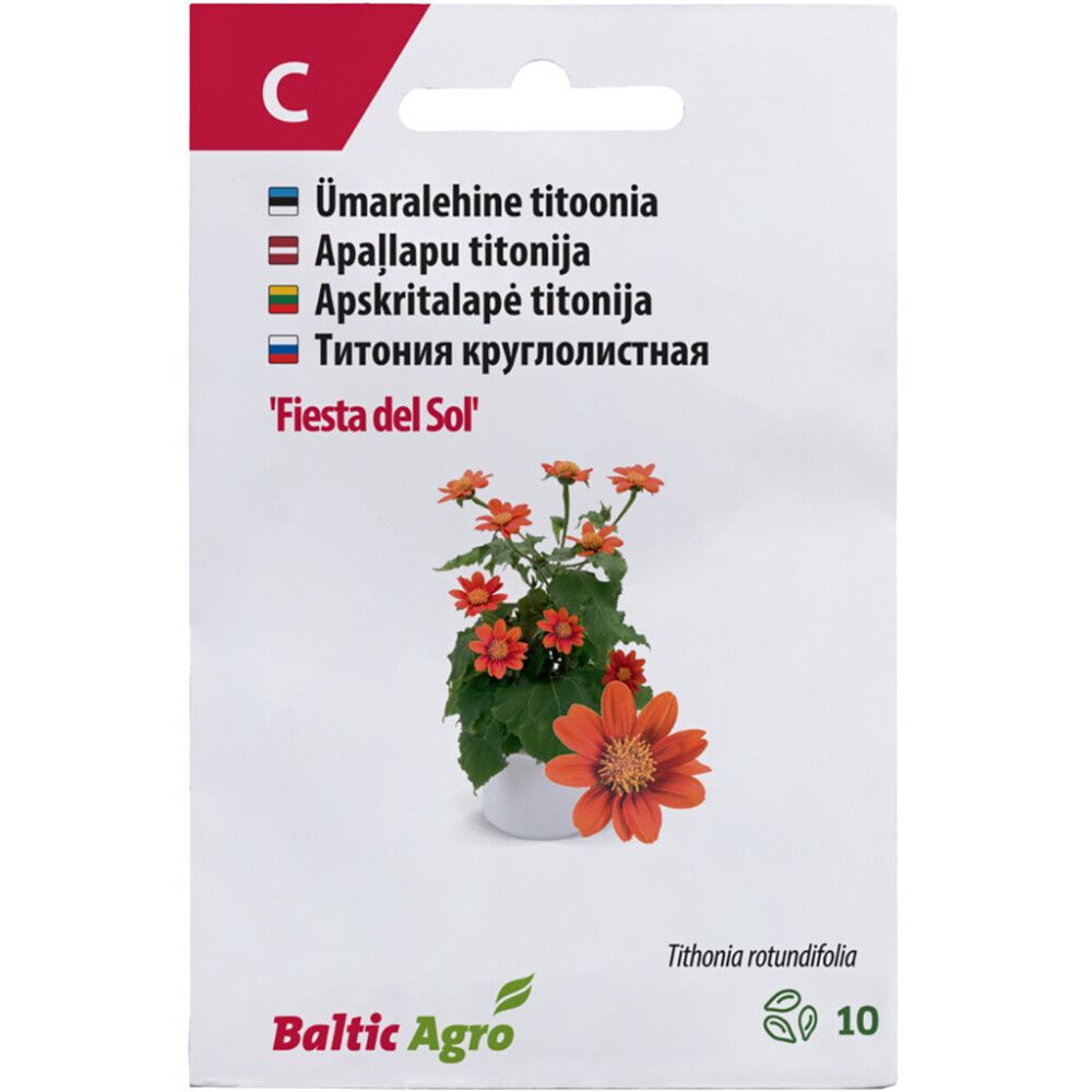 Titoonia Fiesta del Sol