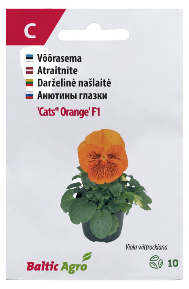 Võõrasema Cats Orange F1
