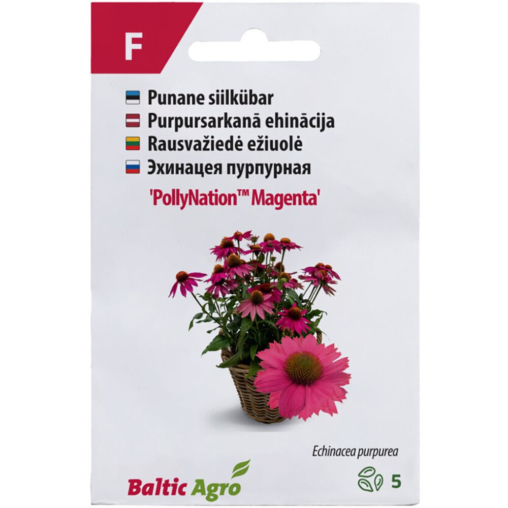 Siilkübar PollyNation Magenta