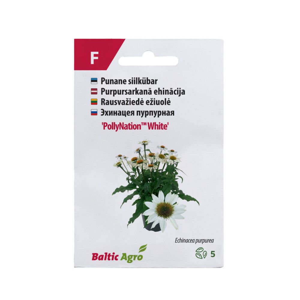 Siilkübar PollyNatio White