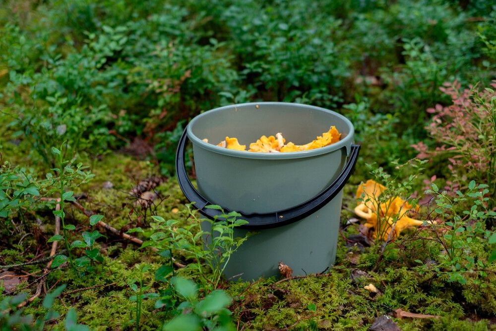 Ämber Orthex roheline 10 l