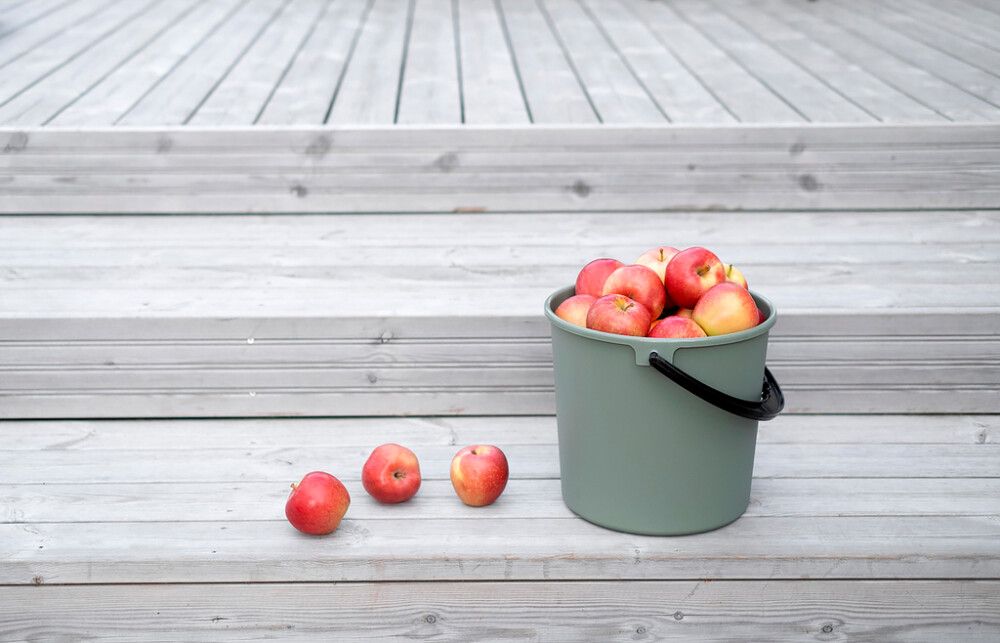 Ämber Orthex roheline 10 l