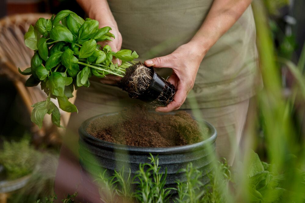 Mahe ürdimuld Kekkilä 4 l                        
