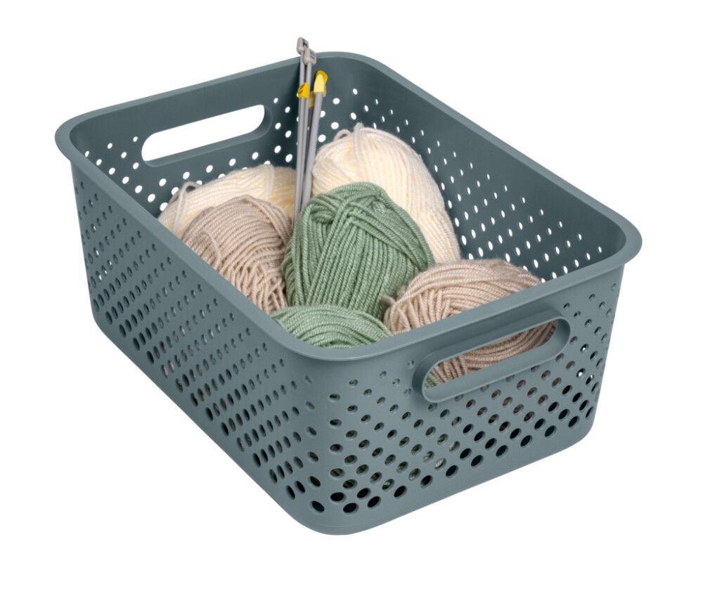 Hoiukorv SmartStore Essence L sinakashall