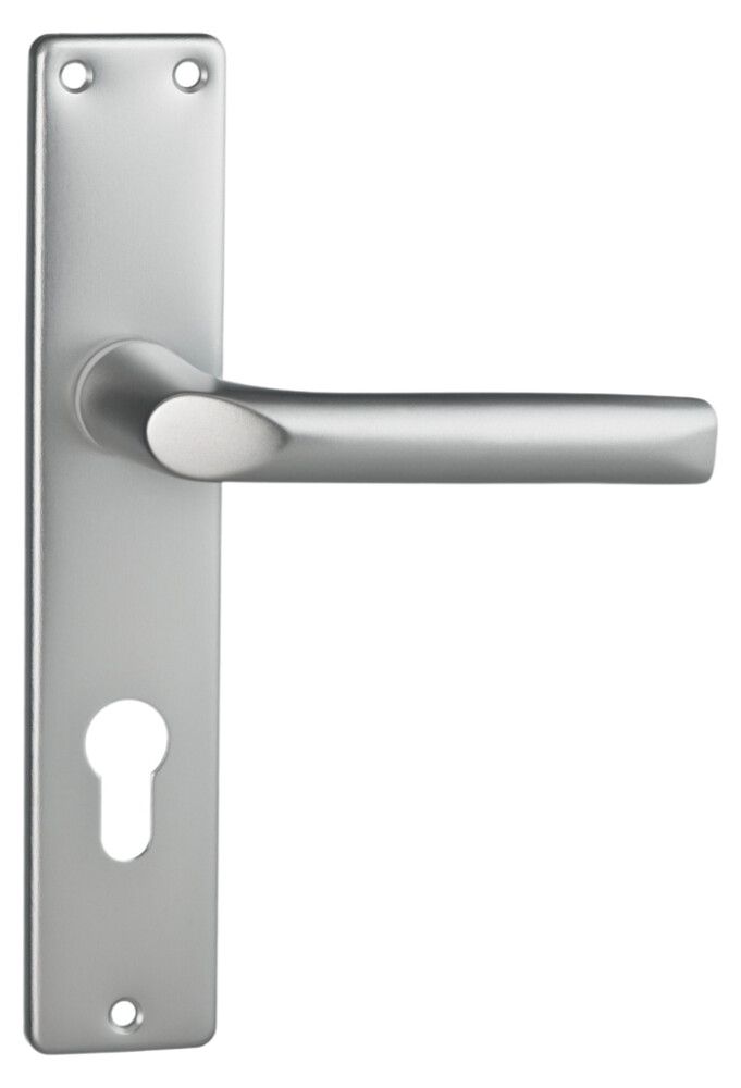 Uksegarnituur Valnes alumiinium