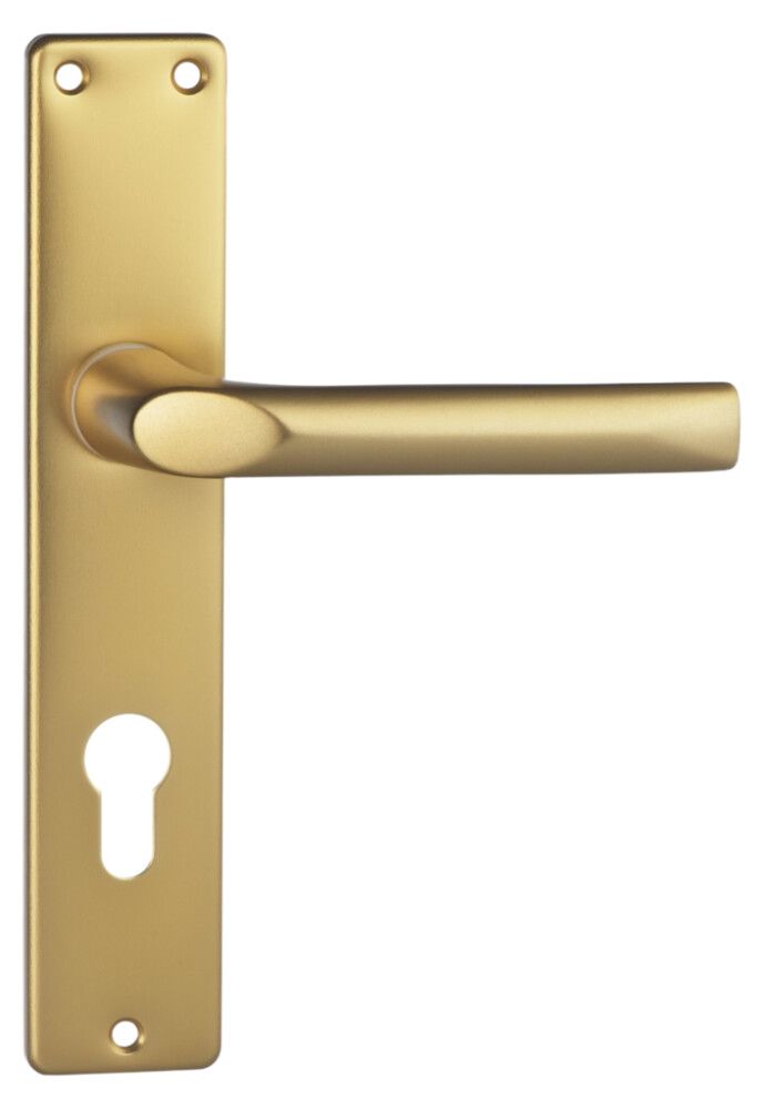 Uksegarnituur Valnes messing