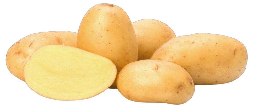 Seemnekartul Soraya A 5 kg