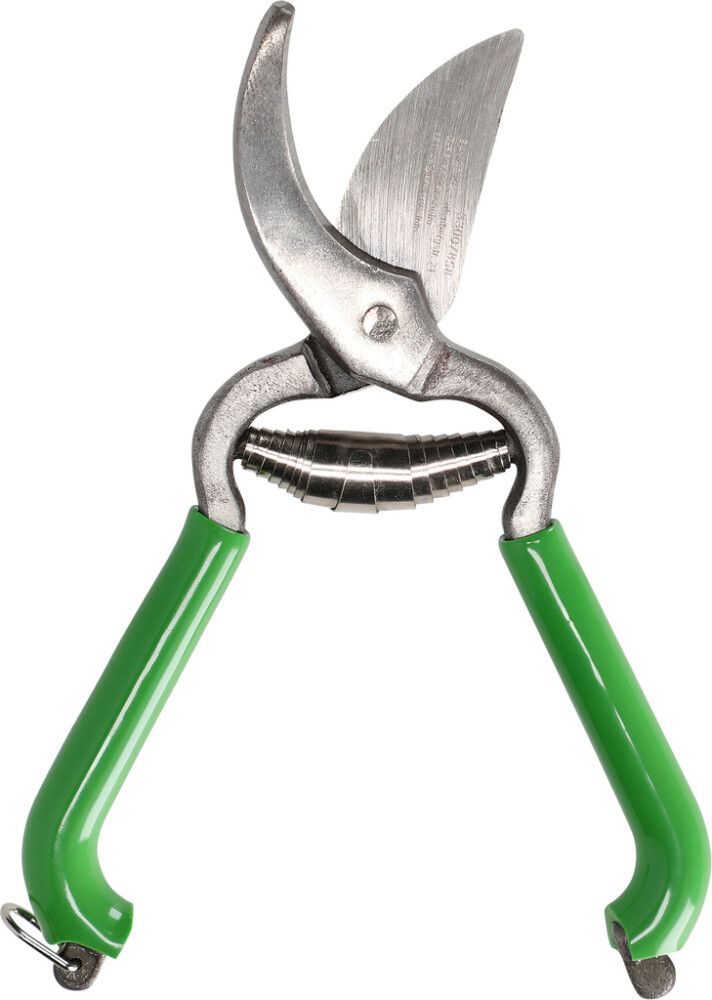 Väikepilt 2
