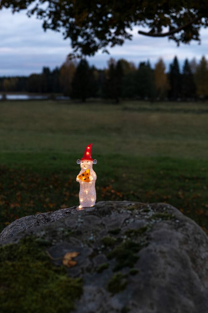 Väikepilt 5