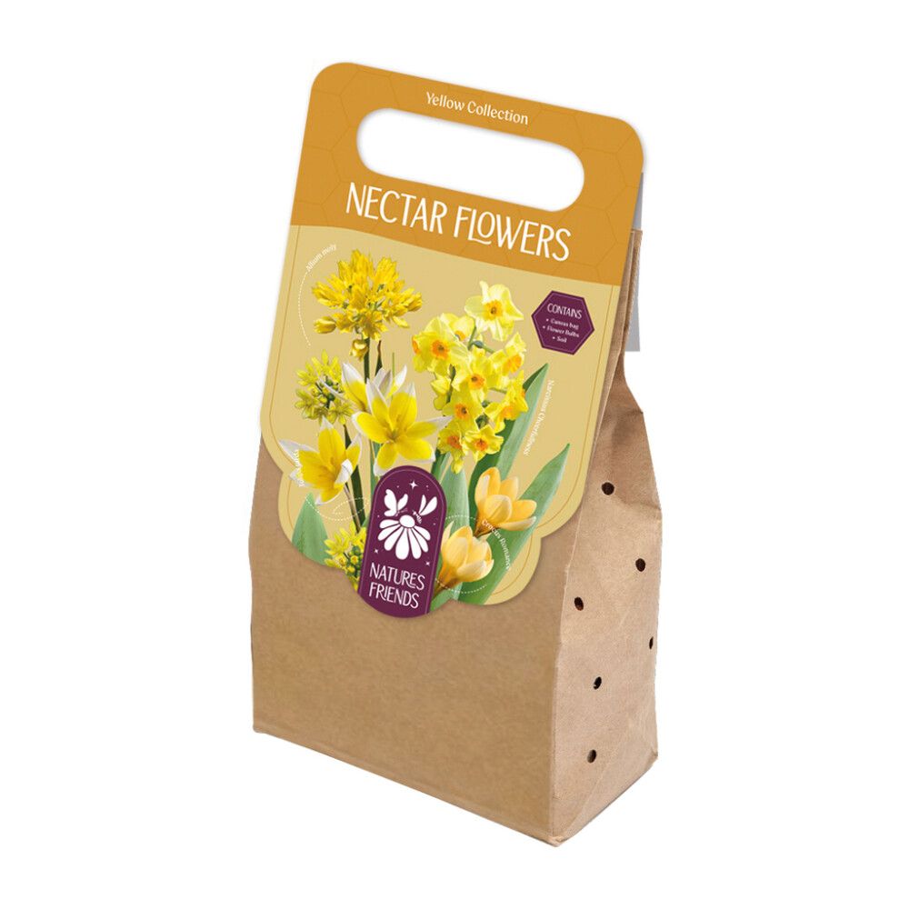 Kevadel õitsevad lillesibulad Kapiteyn Nectar Flowers 40 tk, kollane
