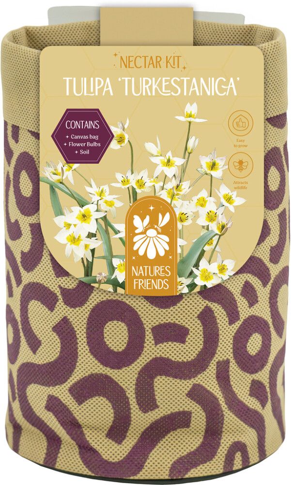 Kevadel õitsevad lillesibulad Kapiteyn Tiny Jewels Mix 5 tk, valge