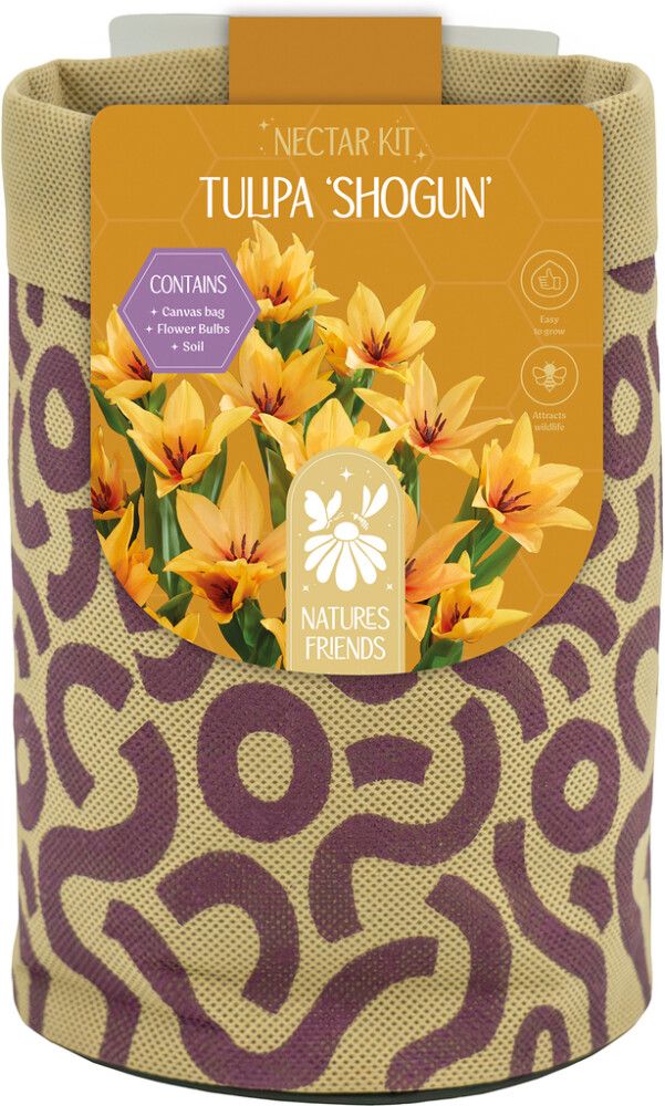 Kevadel õitsevad lillesibulad Kapiteyn Tiny Jewels Mix 5 tk, kollane