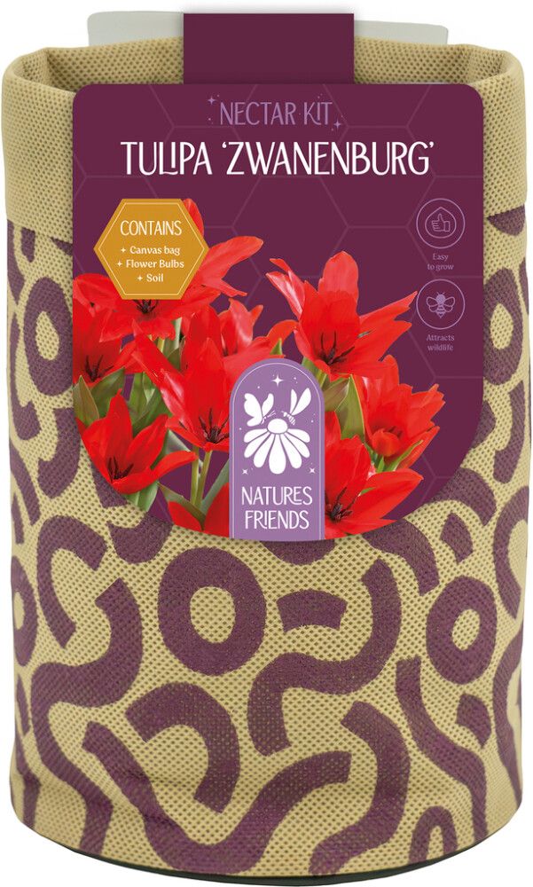 Kevadel õitsevad lillesibulad Kapiteyn Tiny Jewels Mix 5 tk, punane