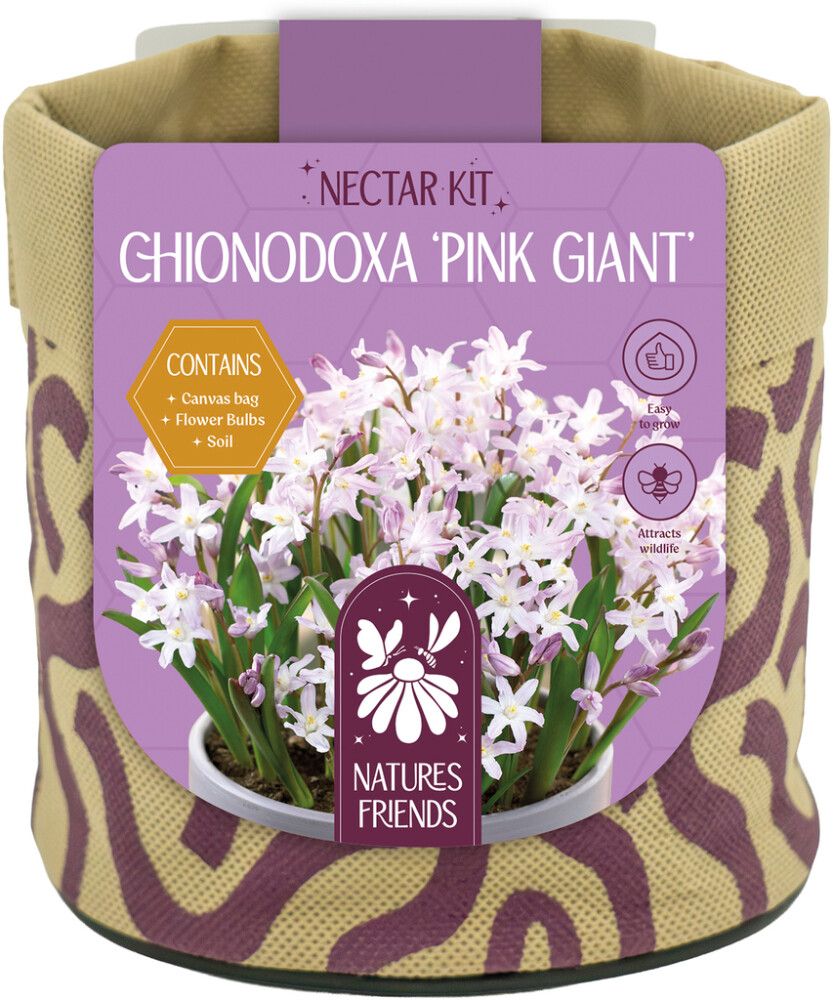 Kevadel õitsevad lillesibulad Kapiteyn Tiny Jewels mix 7 tk, roosa