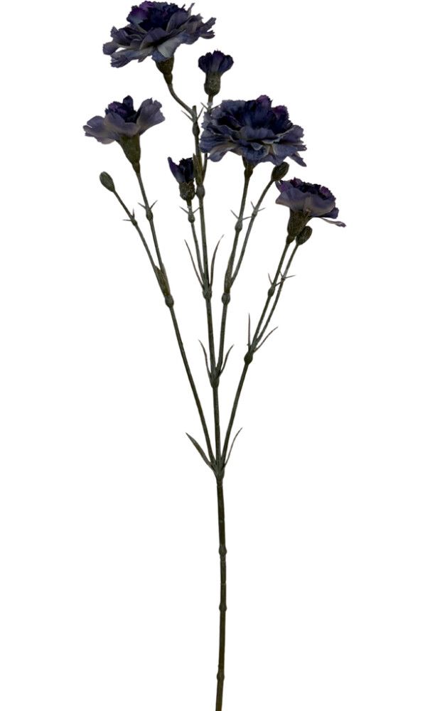 Väikepilt 2