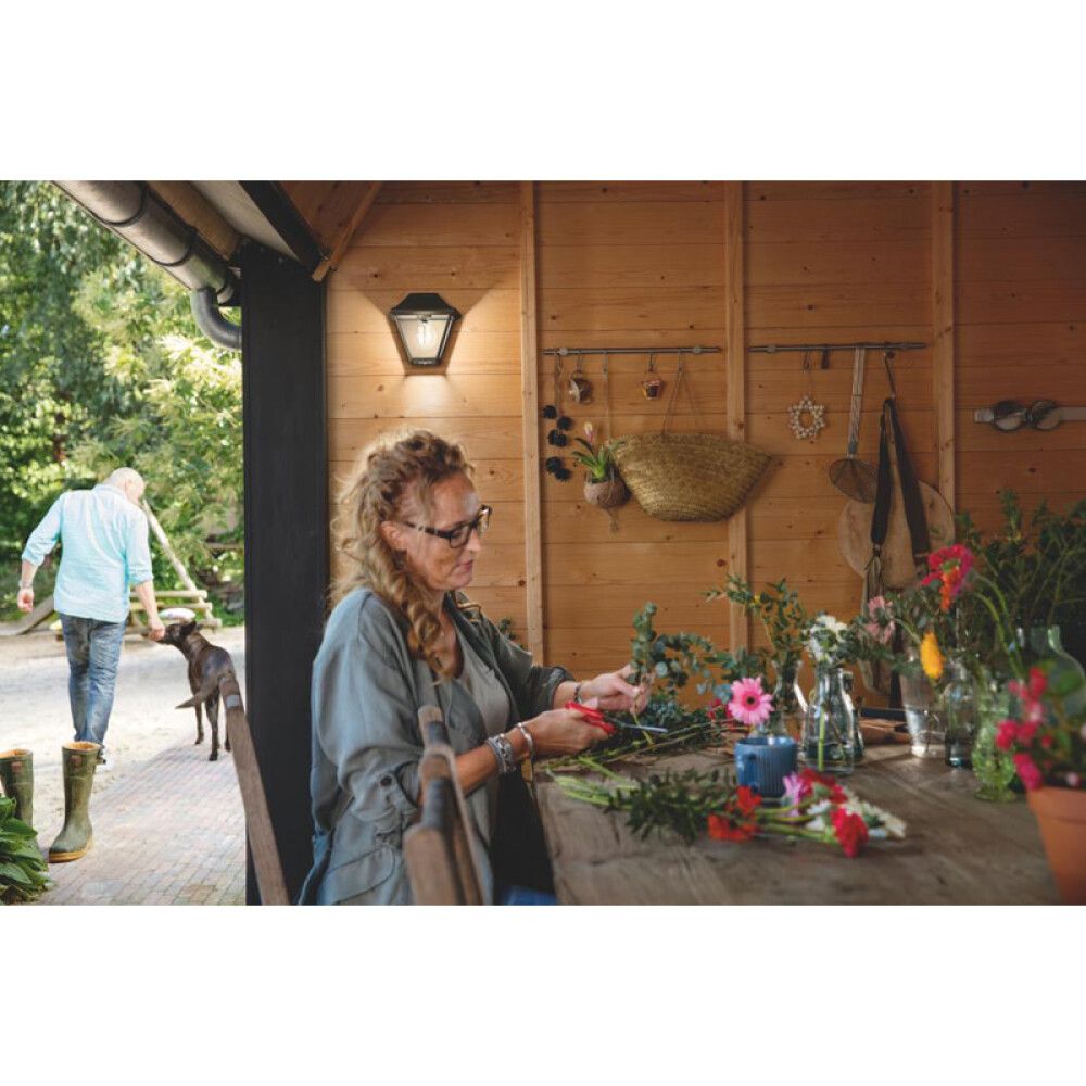 Välisvalgusti Philips Alpenglow must