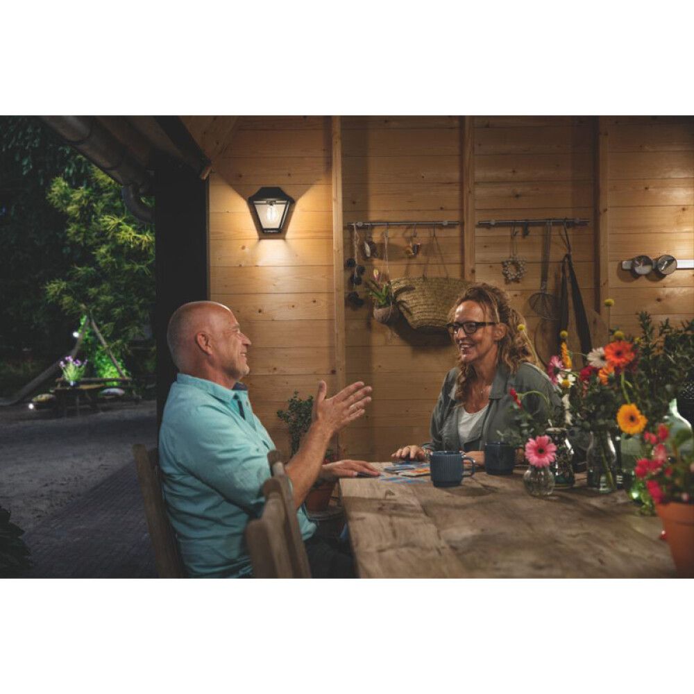 Välisvalgusti Philips Alpenglow must