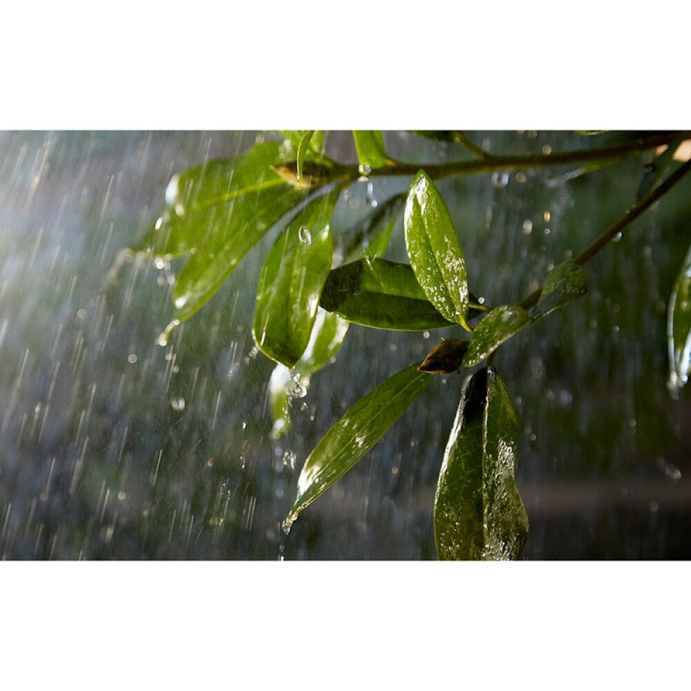 Jätkukaabel Philips Hue 5 m