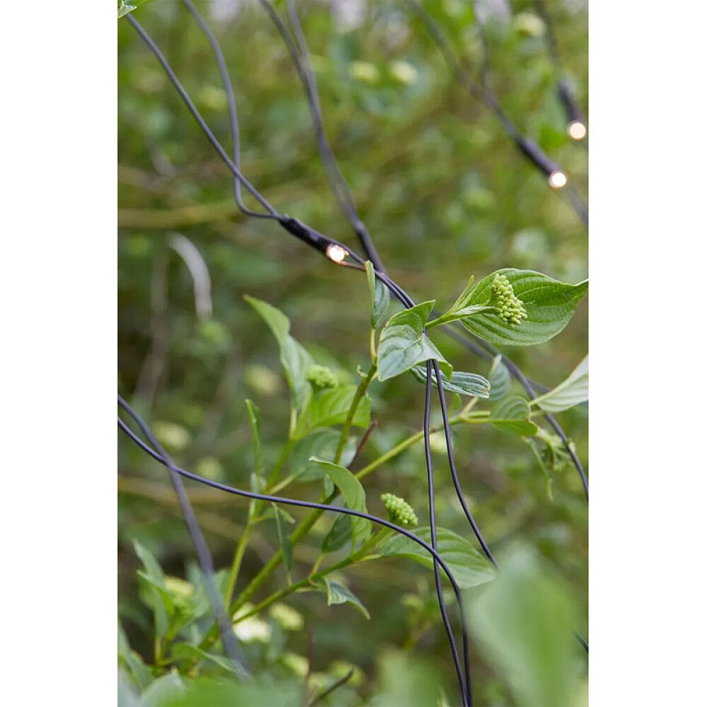 LED-valgusvõrk Markslöjd Garden24