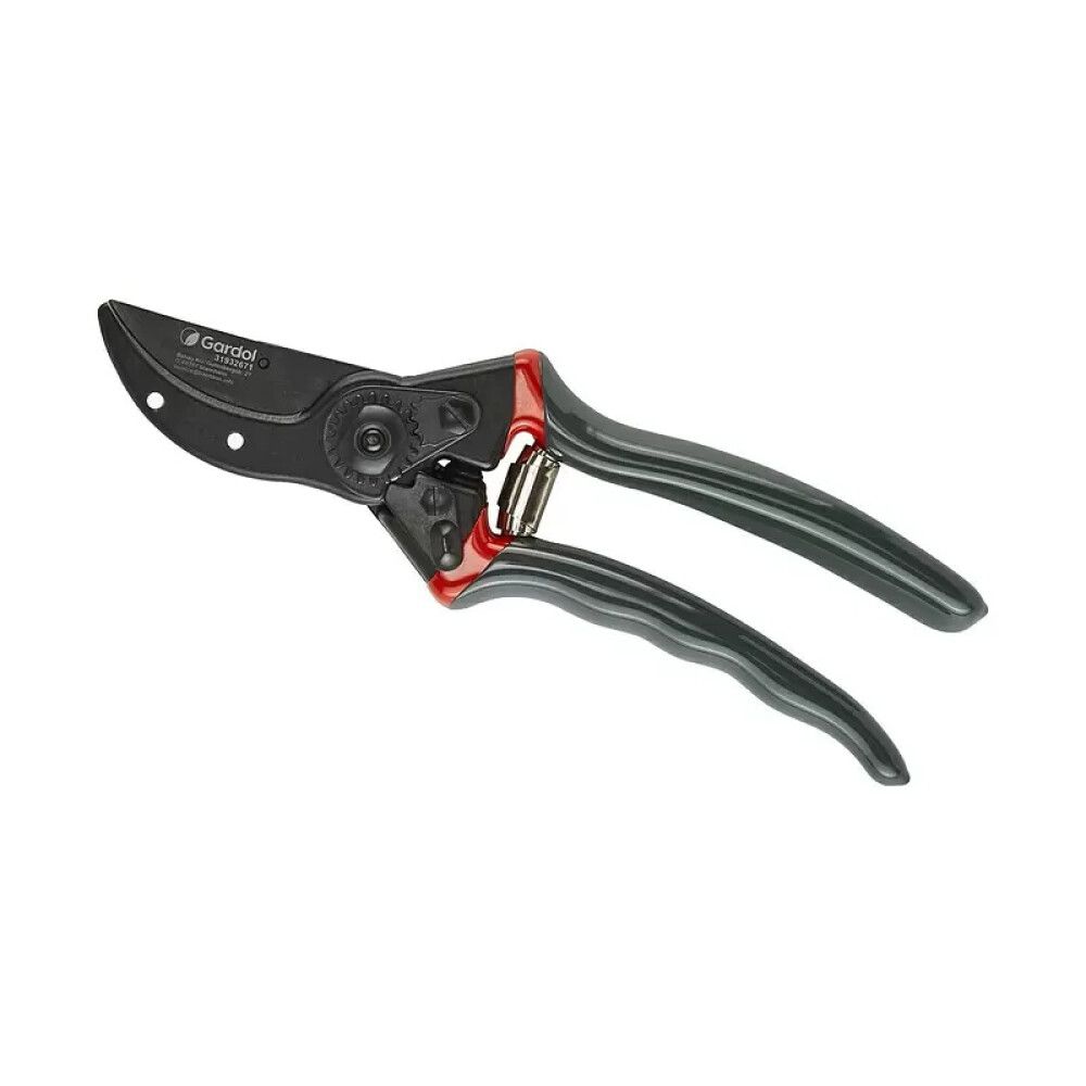 Aiakäärid Premium Premium Classic GDB21