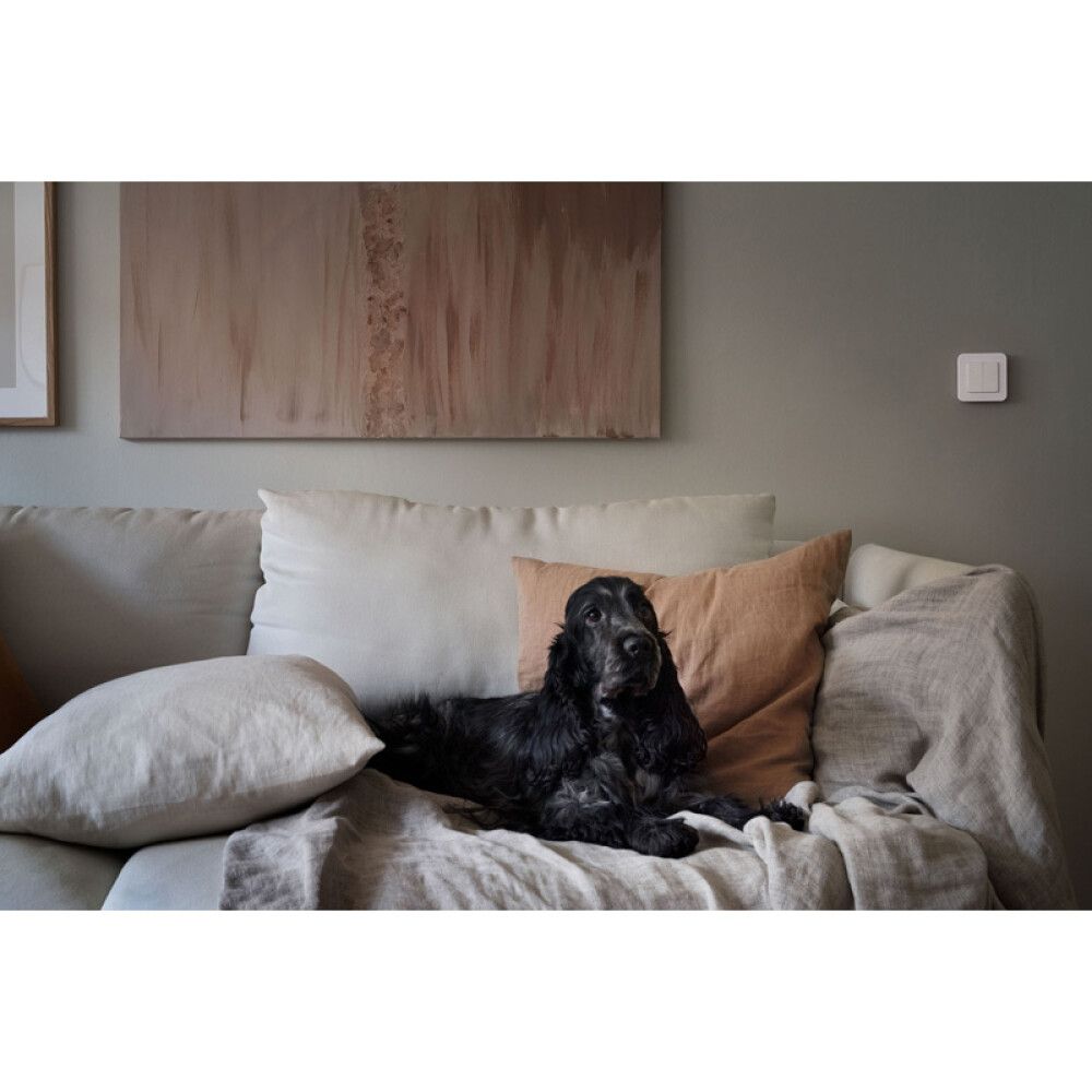 Seinalüliti saatja MWST-1812 2 kanalit IP20