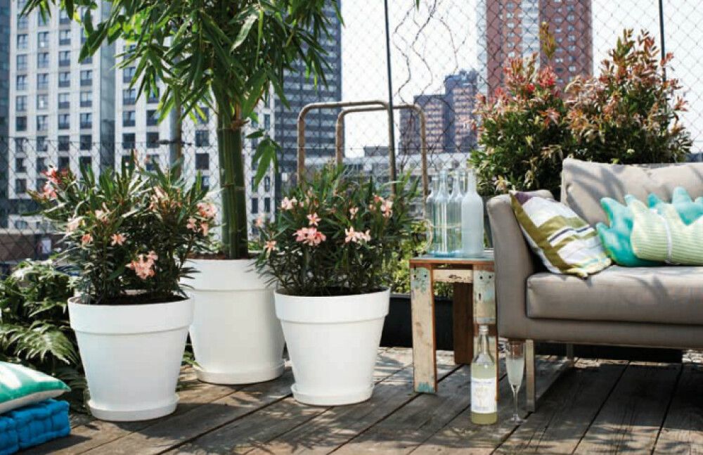 Alustaldrik Loft 24 cm