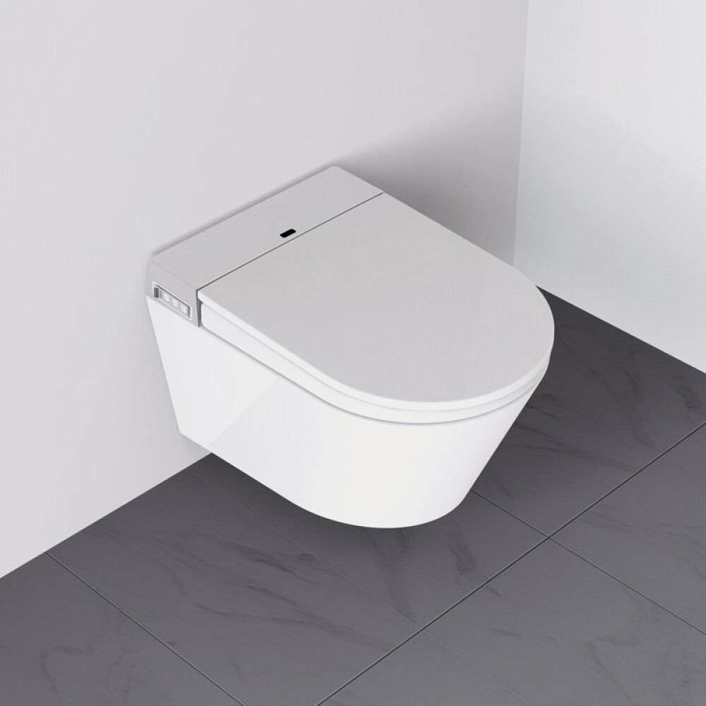 Elektriline seinapealne WC-pott Camargue Clean & Dry