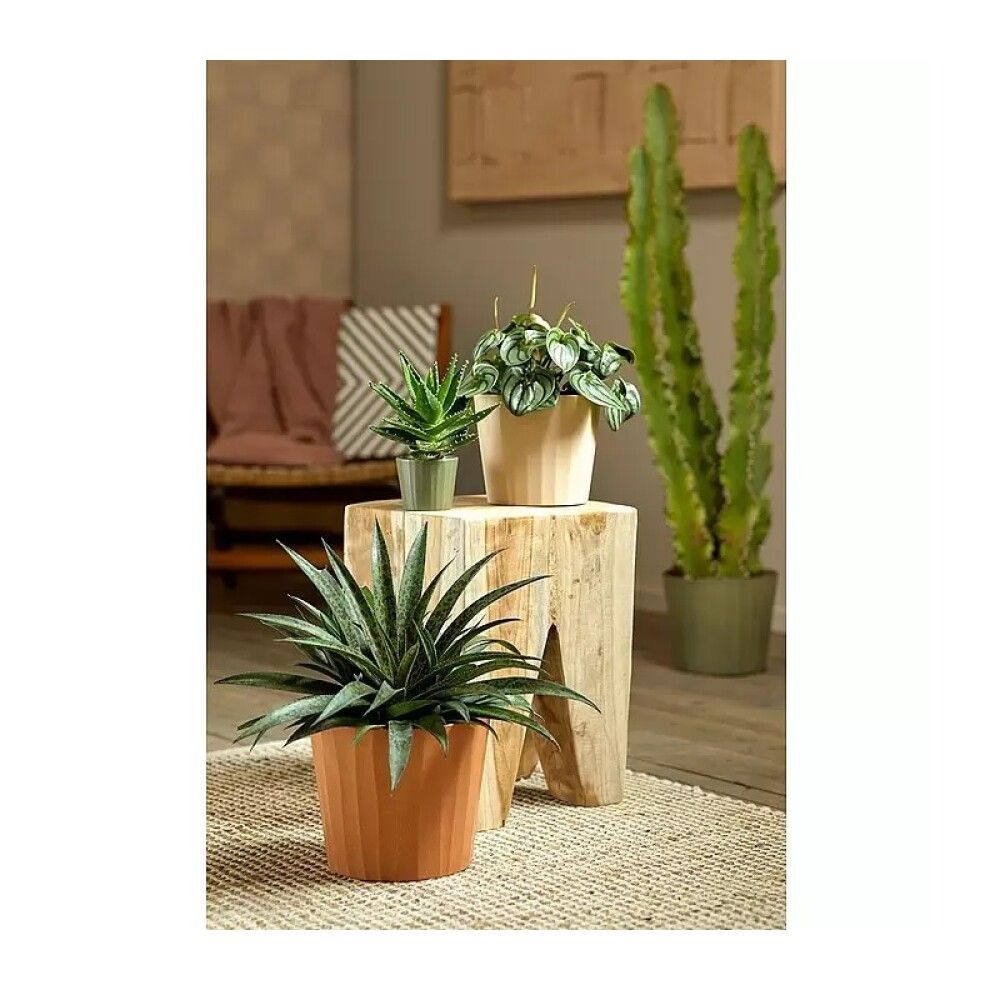 Ümbrispott Soendgen Umea Barista  Ø 18 cm, pistaatsia roheline