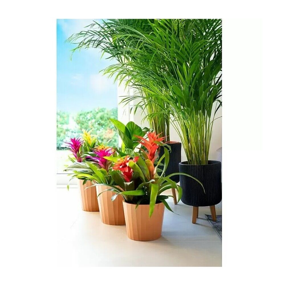 Ümbrispott Umea Barista Ø 21 cm, pruun