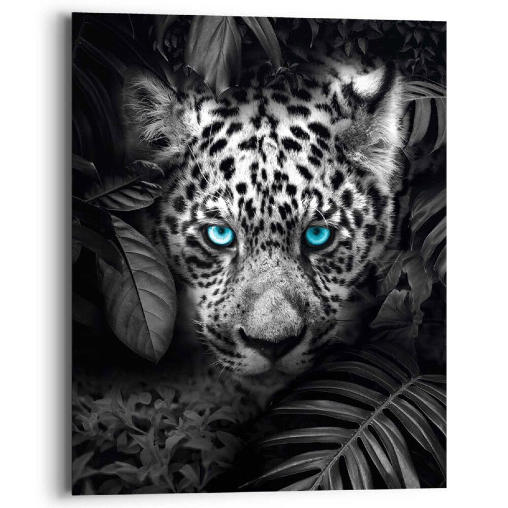 Sisustuspilt 84942 Blue Eyed Leopard 40 x 50 x 2 cm