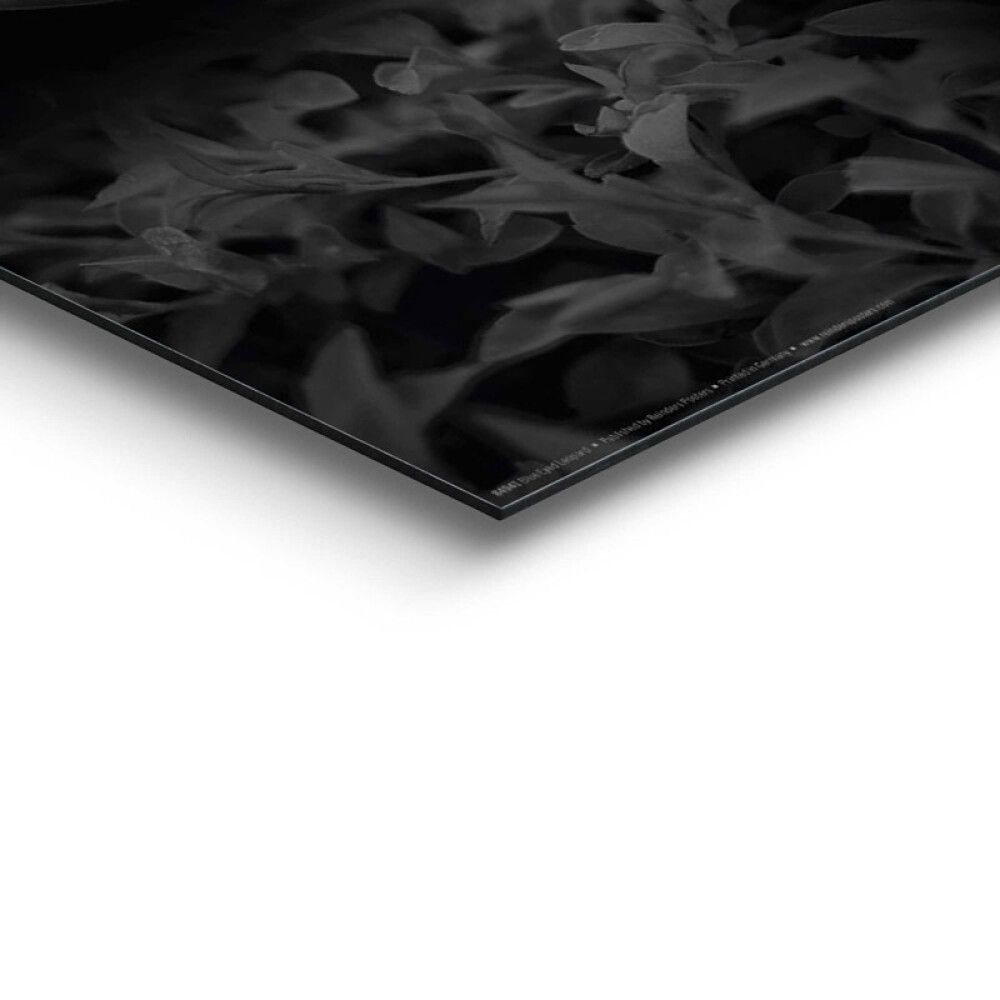 Sisustuspilt 84942 Blue Eyed Leopard 40 x 50 x 2 cm