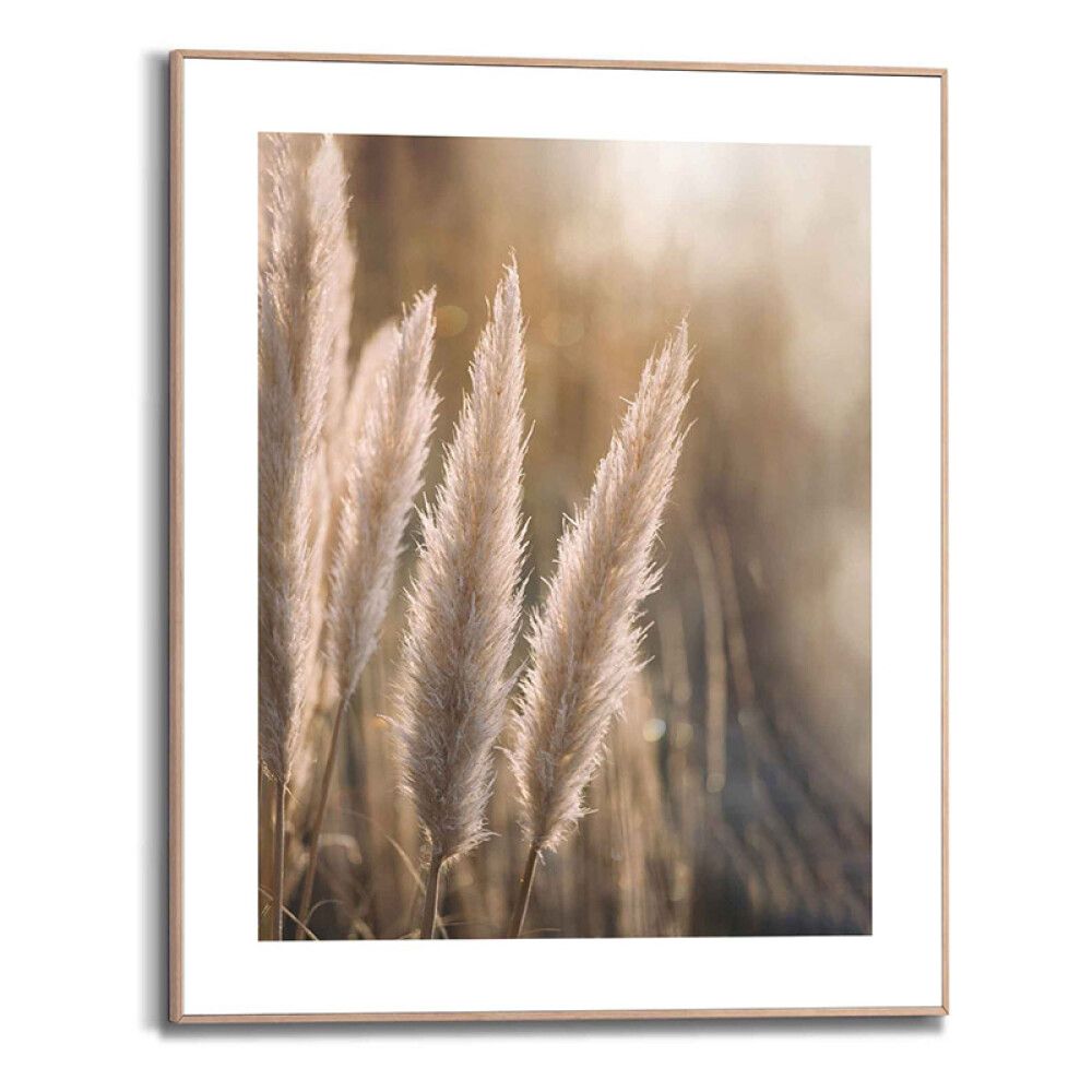 Sisustuspilt Reinders Sunset Grasses 40 x 50 cm