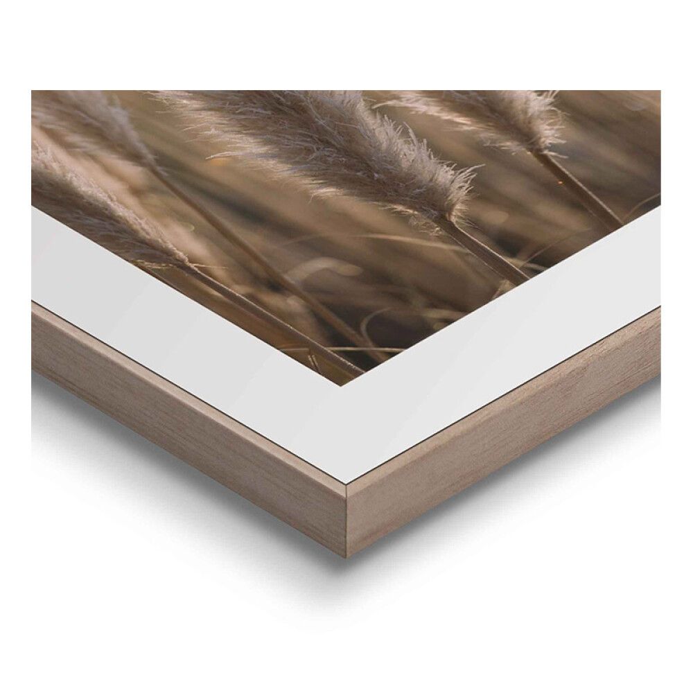 Sisustuspilt Reinders Sunset Grasses 40 x 50 cm