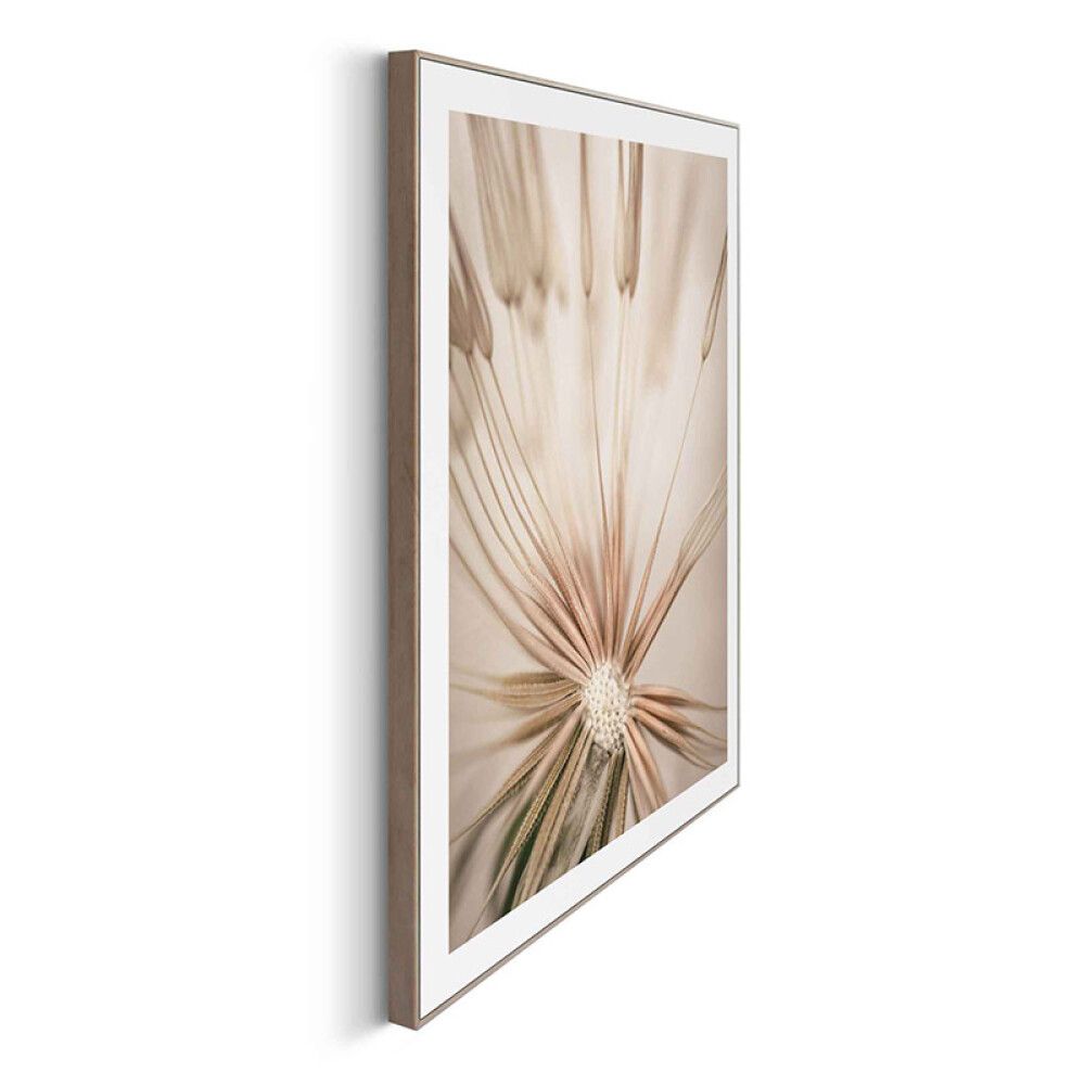 Sisustuspilt Reinders Dandelion Heart 40 x 50 cm